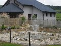 Den deti 2017   284